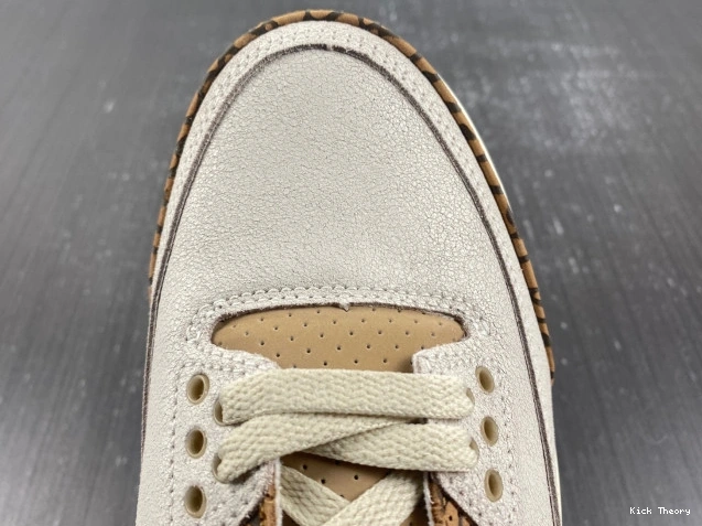 Kicktheory 3 Air Jordan Palomino CT8532-102 0815